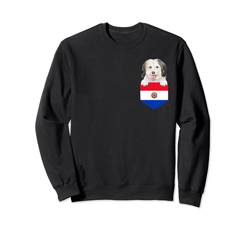 Paraguay Flag Coton de Tulear Dog In Pocket Sweatshirt, Black