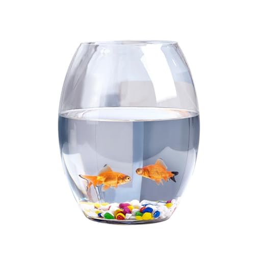 SENKAR Eh KX 35cm  fXNgbvCeA TEE_JEx^p /ԕrp  eE ANAE (35cm)