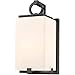 Z-Lite 593S-BK Sana - 1 Light Outdoor Wall Sconce In Contemporary Style-12.75 Inches Tall and 5.75 Inches Wide, Finish Color: Black, Glass Color: White Opal