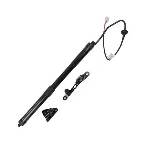 Support levage hayon électrique Toyota RAV4 2013-2018 gauche
