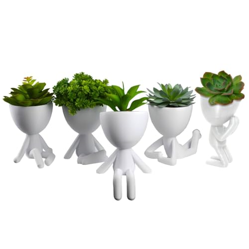 Kit Vasinhos 5 Unidades Bob Decorativo Suculenta Plantas