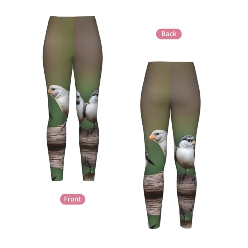 Leggings de compresión de tacto suave y elástico con diseño de tres pájaros 4