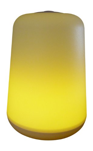 Platinum Battery Operated Night Light - 2 in One Lamp + High Brightness Flashlight, White