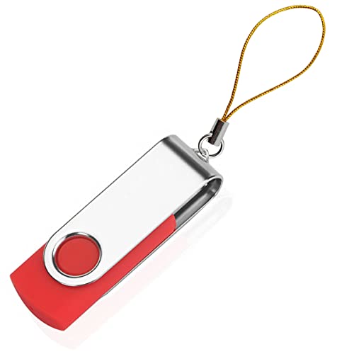 RONYOUNG 310PCS Lanyard Phone Ring Strap for Mobile Lariat Lanyard Cell Phone Split Ring Strap Sliver Tone Split Ring Cellphone Strap Charm Cords for Cellphone USB Drive Keychain DIY (Mixed Color)