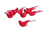 Factory Direct Craft Package of 12 Artificial Bright Red Sitting Cardinal Mushroom Birds, for Crafting, Christmas Tree Ornaments, Nature Displays and More | Size: 4" Long x 1-1/2" Wide x 2" High