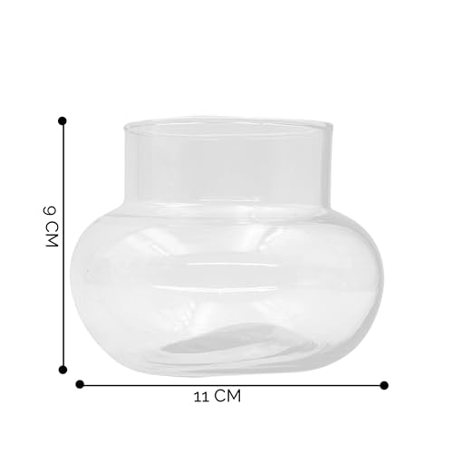 Image of Glass Vase for Bamboo Plant, Money Plant, Flower Vase, Candy Jar (Pack 2)
