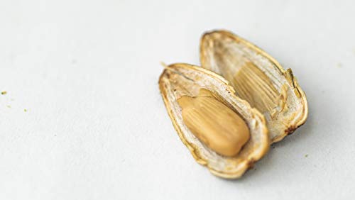 image for Wild Dutchman Sunflower Seeds, Non GMO, Low Salt Keto Friendly, Origin