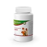 CARDUELIS Ovostarter 125 g Complément alimentaire pour poussins avec protéines et vitamines Favorise la croissance et la vitalité dès le début