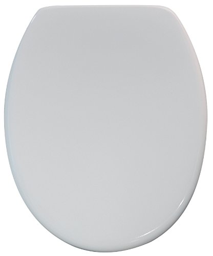 Sanitop-Wingenroth WC-Sitz