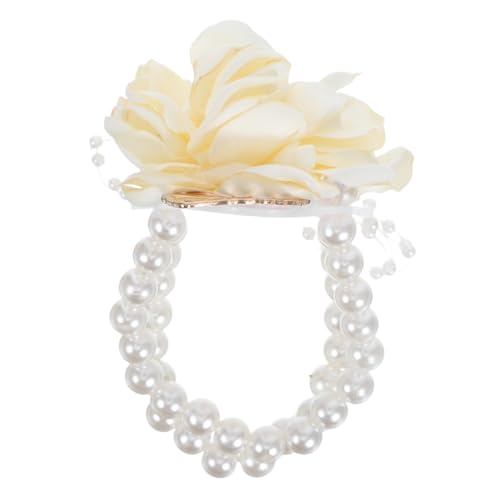 DECHOUS �������̉Ԃ̏��� �������̎��̃R�T�[�W�� ���z �x�[�W��