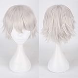 REYHS Cosplay Wig,Lev Haiba Cosplay Wig,Short Grey Silver Wig,with Free Wig Cap,Halloween Costume Cosplay,for Christmas Carnival party