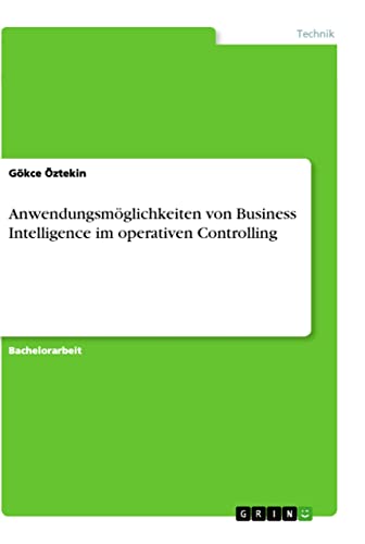Anwendungsmöglichkeiten von Business Intelligence im operativen Controlling