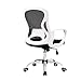Produktbild Bürostuhl Gaming Stuhl Ergonomisch, Schreibtischstuhl Chefsessel Gamingstuhl Gaming Sessel Chair Höhenverstellung Stoff für Büromöbel, Schwarz, H020ZJ (Color : White)