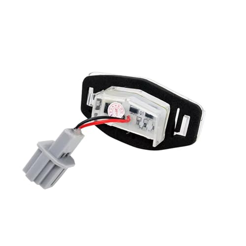 Luz de matrícula LED anti-error Canbus para Civic y Accord 2
