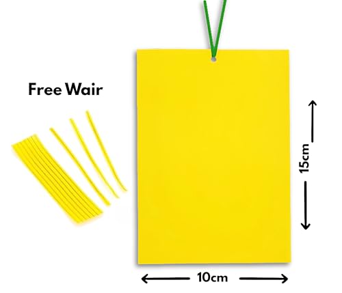 Image of Chipku Yellow Non Toxic Chemical Free Sticky Fly Trap Pads for Insects, Whiteflies, Aphids, Leaf Miner & Thrips (Yellow) (Garden Sticky Trap Pack of 10)
