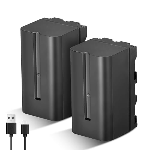 Batterie NP-F750 Soonpho double pack haute capacité pour caméscope et flash