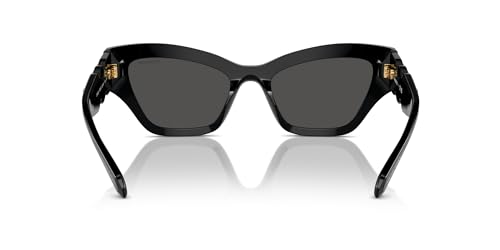 Swarovski Women's Sk6021 Cat Eye Sunglasses4