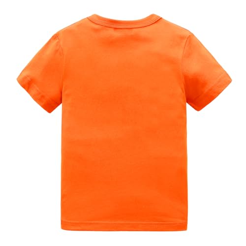 Boys Rainbow Striped Shirts for Kids Long Sleeve Cotton T-Shirts O-Neck Tops2