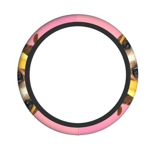 킢 WbN bZ  oii nhJo[ XeAOzC[Jo[ XeAOJo[ tBbg I[V[YΉ ϋv  JX^ p[c ANZT[ ԗpi tȒP EH[