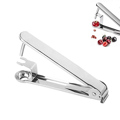 JYXYXSCP Cherry Pitter, Cherry Pitting Tool, Olive Pitter Tool, Fruit Pitting Tool