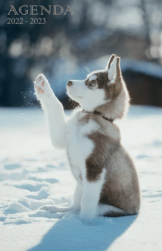 Agenda Scolaire 2022 / 2023: Planificateur Scolaire Journalier Septembre 2022 À Juillet 2023 | Etudiants Collège Et Lycée | Couverture Bébé Husky Dans La Neige