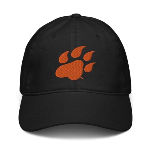 Gorra de béisbol ajustable Sam Houston State Bearkats miniatura 2