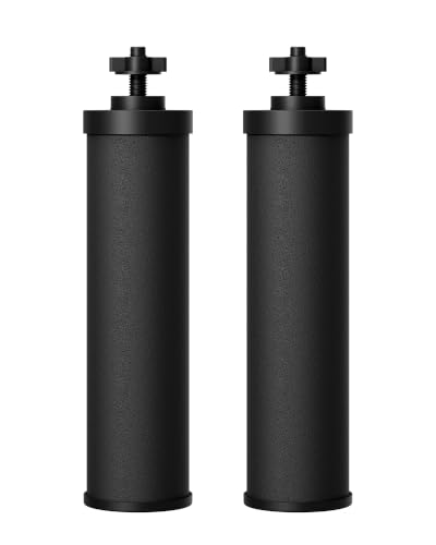 Image of Waterdrop Silver Ions Black Water Filter, Replacement for Berkey BB9-2