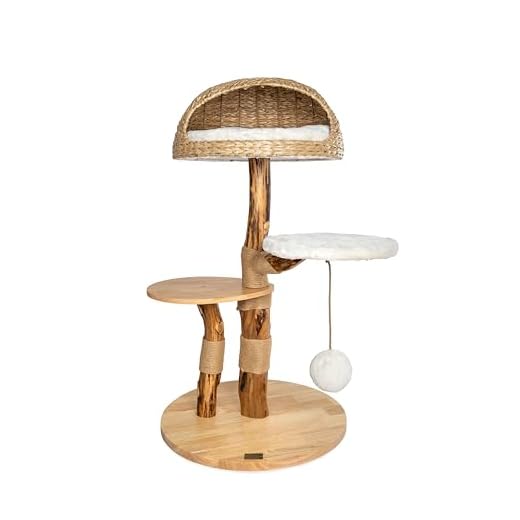 Bontoy Arbre à chat Stella en bois de 109 cm - Tronc en bois véritable - Grand panier de couchage avec coussin - Balle de jeu sur corde - 2 marches - Coussin amovible