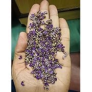 The GIFTERY Kundan Stone for Jewellery Making | Decoration and Craft