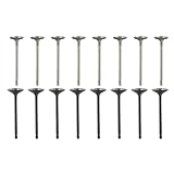 labwork 16PCS Intake Air-out Engine Valves Replacement for GM 2.0L 2.2L 2.4L ECOTEC DOHC 12622329 12615936