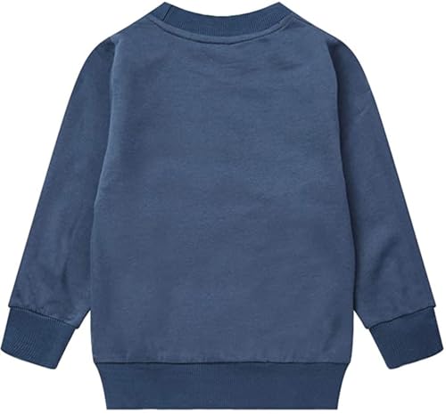 Image of Popshion Toddler Boys Sweatshirts Dinosaur Long Sleeve Pullover Crewneck Shirts Cartoon Tee Sport Tops for Kids 1-8T