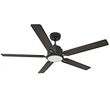 CEME Smart Ceiling Fan with Lights, Indoor & Outdoor Ceiling Fan with Remote, 10 Speeds Smart Ceilin