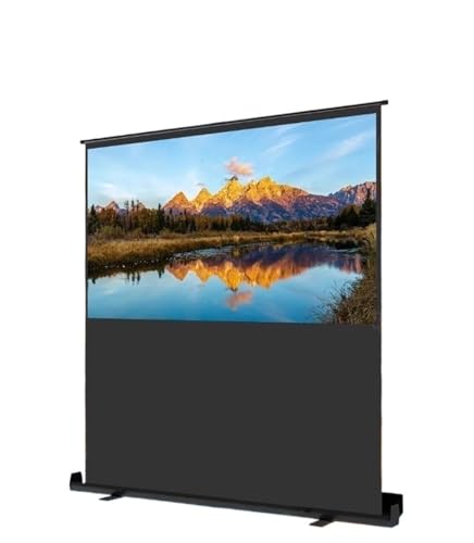 Pantalla de Proyección Portátil con Soporte 120 Pulgadas