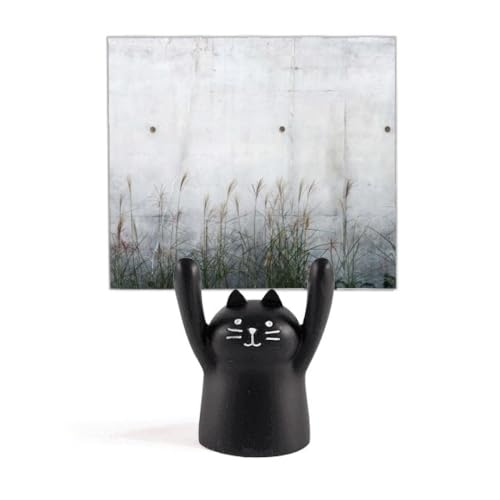 ƍ̋̕w̃p^[ J[gD[LX^h^z_[