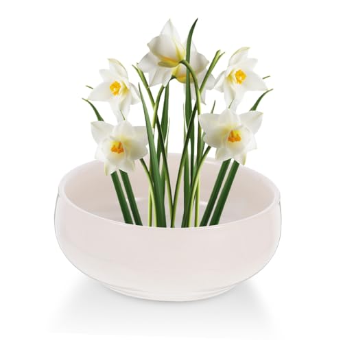Pot de fleurs en céramique pour nénuphars idéal pour décorer votre bureau et salon - 4