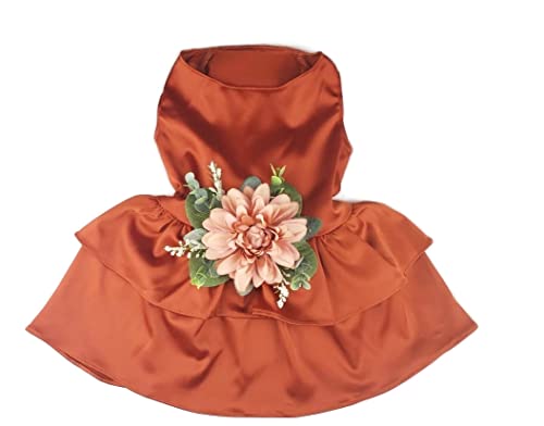 Wedding Dog Dress | Dog Flower Girl Dress | Terra Cotta Wedding | Dog Clothes XS-5XL (Medium)