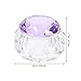 FOMIYES Nail Art Crystal Mixing Cup Lid Portable Manicure Accessory for Liquid and Powder High-transparency Nail Dish for Professionals and Home Use