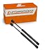Qty (2) 10mm Nylon End Lift Supports 15" Extended x 60lbs