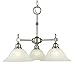 Framburg Lighting 2439 SBR/cm Taylor - Three Light Chandelier, Siena Bronze Finish with Champagne Marble Glass
