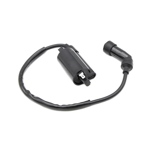 Bobina de encendido para restaurar el motor de motos DF200 y DR125 2