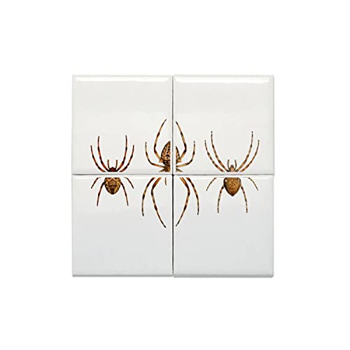 Carreaux céramique araignées américaines 15,2x15,2 cm lot de 4