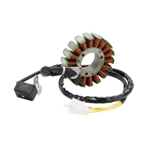 Générateur de stator D406 adapté pour Grand Dink 250 B&W 250