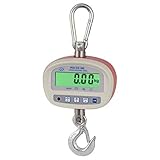 Calibrable PCE Instruments Balanza de gancho PCE-CS 300 con rango hasta 300 Kg