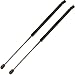 19.06 Inch 2Pcs Front Hood Struts Lift Supports Compatible with Audi Q7 2007-2015 Body 4L 4 Door Sport Utility 4L0823359 Shock Gas Spring Prop Rod Cylinder