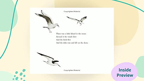 Image of The Little Island: (Caldecott Medal Winner)