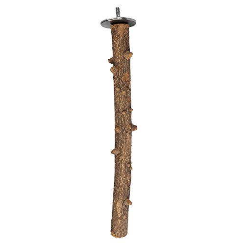 Prickly Ash Wood Perch Stand Bird Wooden Chew Bite Toy Bird Grinding Perch Cage Hanging Training Toy for Parakeets Budgies Cockatiels Conures(3×35cm)