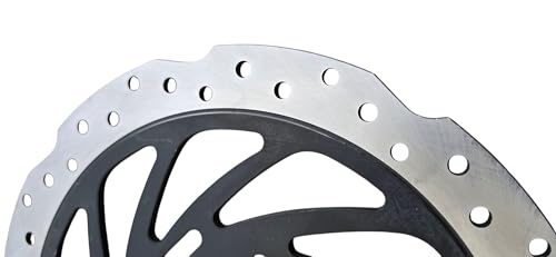Image of BS6 300mm Front Brake Disc (With ABS) compatible with Bajaj Pulsar NS200 |RS200 (2021-2025)