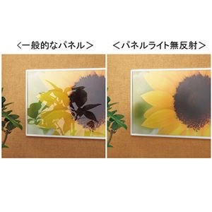 Amazon.co.jp: (まとめ) プラチナ パネルライト ニューファンシー