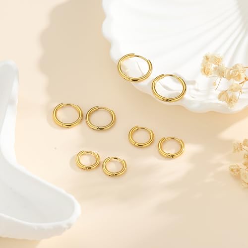 Image of 316L Surgical Steel Hoop Earrings, 6-20mm Huggie Hypoallergenic, Small Sleeper Mens Cartilage Earrings for Women 20G 18G