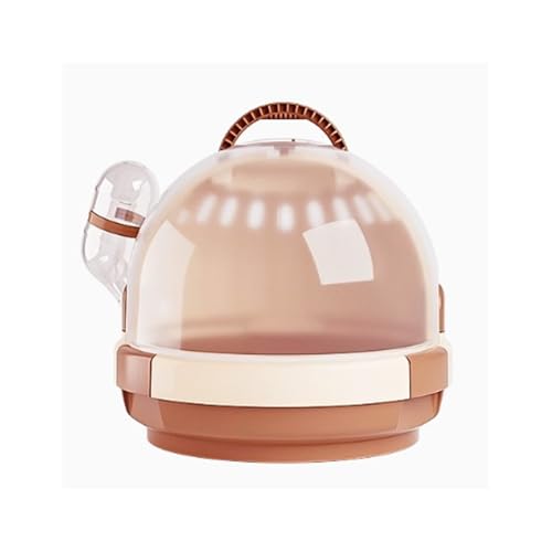  IEpeCNAEgP[W p Op |[^uo[hP[W o[hobO |[^u~jo[hP[W sP[W(Brown)